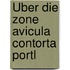 Über die zone Avicula contorta Portl