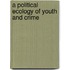 A Political Ecology of Youth and Crime