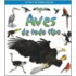 Aves De Todo Tipo (Birds Of All Kinds)