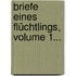 Briefe Eines Flüchtlings, Volume 1...