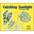 Catching Sunlight: A Book About Leaves