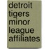 Detroit Tigers Minor League Affiliates
