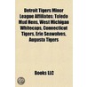 Detroit Tigers Minor League Affiliates door Books Llc