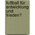 Fußball für Entwicklung und Frieden?