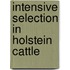 Intensive Selection In Holstein Cattle