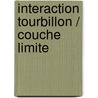 Interaction Tourbillon / Couche limite by Sebastien Prothin