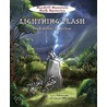 Lightning Flash: Probability In Action door Felicia Law