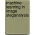 Machine Learning in Image Steganalysis