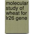 Molecular Study Of Wheat For Lr26 Gene