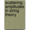 Scattering Amplitudes In String Theory door Daniel Hartl