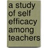 A Study Of Self Efficacy Among Teachers