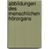 Abbildungen Des Menschlichen Hörorgans