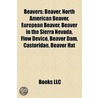 Beavers: Beaver, North American Beaver door Books Llc