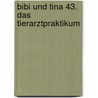 Bibi und Tina 43. Das Tierarztpraktikum door Theo Schwartz