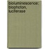 Bioluminescence: Biophoton, Luciferase