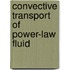 Convective Transport of Power-Law Fluid