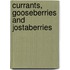 Currants, Gooseberries and Jostaberries