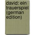 David: Ein Trauerspiel (German Edition)