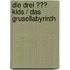 Die drei ??? Kids / Das Grusellabyrinth