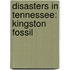 Disasters in Tennessee: Kingston Fossil