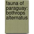 Fauna of Paraguay: Bothrops Alternatus
