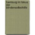 Hamburg im Fokus der Blindenselbsthilfe