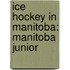 Ice Hockey in Manitoba: Manitoba Junior