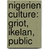 Nigerien Culture: Griot, Ikelan, Public