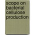 Scope on Bacterial Cellulose Production