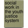 Social Work in the Youth Justice System door Elaine Arnull