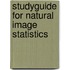 Studyguide for Natural Image Statistics