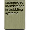 Submerged Membranes in Bubbling Systems by Filicia Wicaksana