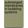 Submerged Membranes in Bubbling Systems door Filicia Wicaksana