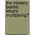 The Mystery Beetle: What's Multiplying?