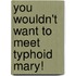 You Wouldn't Want to Meet Typhoid Mary!