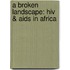 A Broken Landscape: Hiv & Aids In Africa