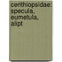 Cerithiopsidae: Specula, Eumetula, Alipt