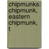 Chipmunks: Chipmunk, Eastern Chipmunk, T