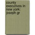 County Executives in New York: Joseph Gr