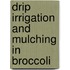 Drip Irrigation and Mulching in Broccoli