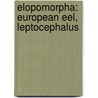 Elopomorpha: European Eel, Leptocephalus door Books Llc