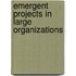 Emergent Projects in Large Organizations