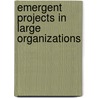Emergent Projects in Large Organizations door Henok Minas Brook