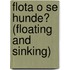 Flota O Se Hunde? (Floating And Sinking)