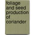 Foliage and Seed Production of Coriander