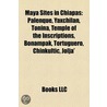 Maya Sites in Chiapas: Palenque, Yaxchil door Books Llc