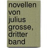 Novellen von Julius Grosse, dritter Band door Julius Grosse