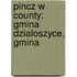 Pincz W County: Gmina Dzialoszyce, Gmina