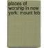 Places of Worship in New York: Mount Leb