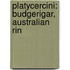 Platycercini: Budgerigar, Australian Rin